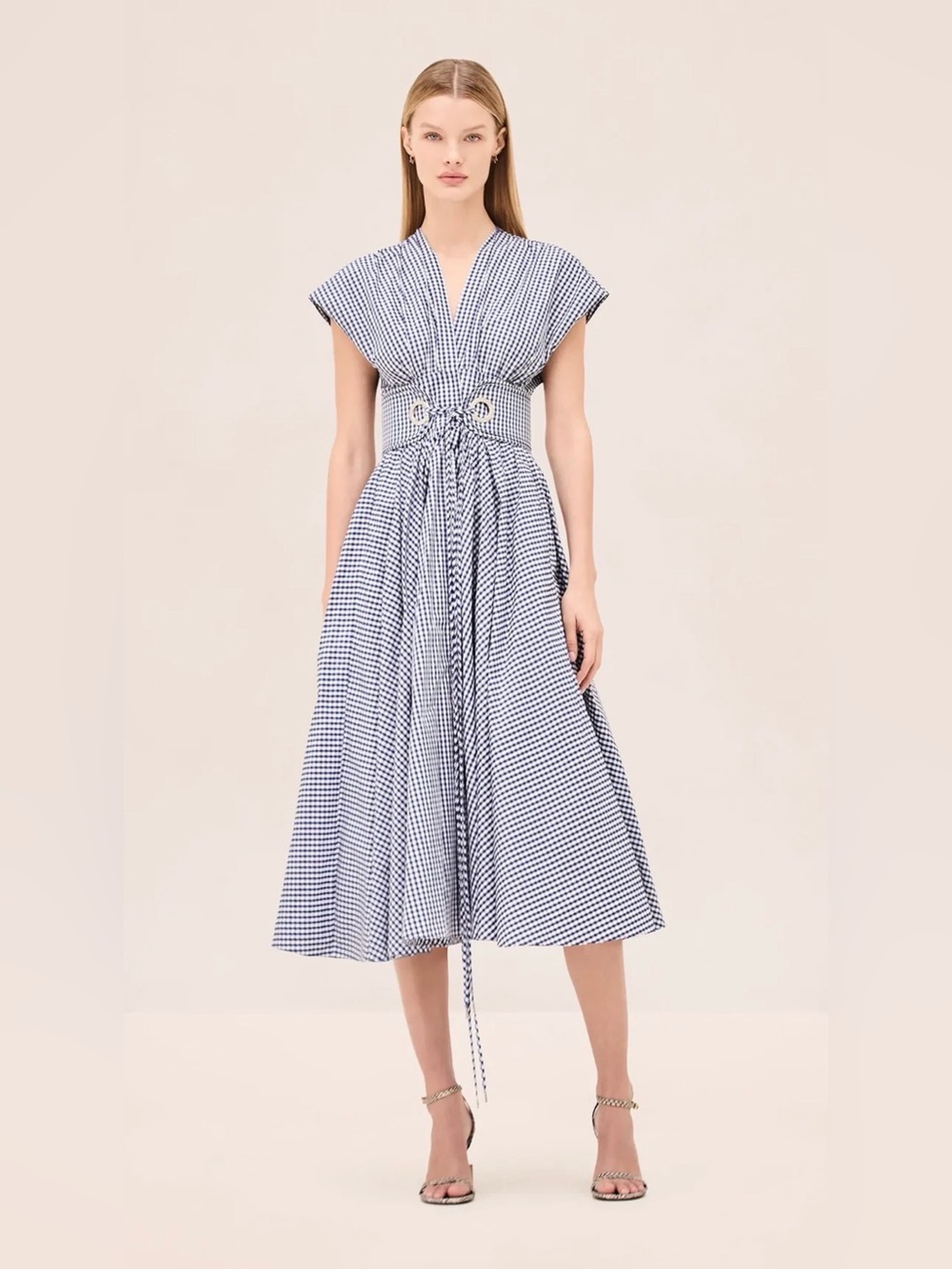 Alexis Riviera Dress in Blue Gingham, New